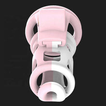 Load image into Gallery viewer, 3D Male Chastity Cage