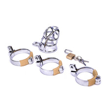 Load image into Gallery viewer, Caught in Her Web Metal Chastity Cage 2.76 inches long (All 3 Rings Included!)