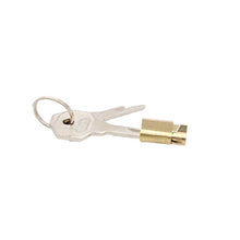 Load image into Gallery viewer, Premium Quality Stainless Steel Lock and Key Set for Hinged Type Chastity Cages