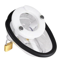 Load image into Gallery viewer, Solitary Confinement Male Chastity Device