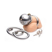 Load image into Gallery viewer, Locking Stainless Steel Confinement Cage