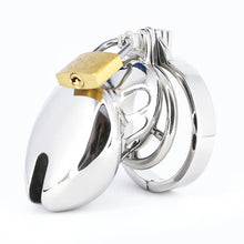 Load image into Gallery viewer, Bondage Stainless Steel Chastity Cage With Spike Ring