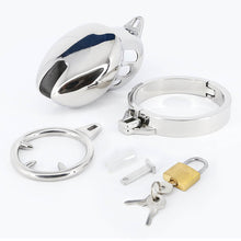 Load image into Gallery viewer, Bondage Stainless Steel Chastity Cage With Spike Ring