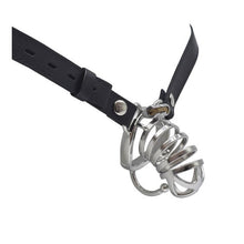 Load image into Gallery viewer, CC75 Bondage Cock Cage with Male Chastity Belt