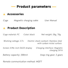 Load image into Gallery viewer, CAGINK PRO Cellular Remote Chastity Lock