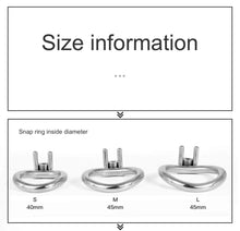 Load image into Gallery viewer, CC97 Circular Arc Clasp Flat Chastity Lock