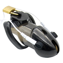 Load image into Gallery viewer, Electric Chastity Cage
