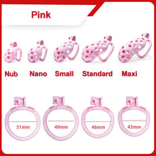 Load image into Gallery viewer, Hole Style Mamba Cock Cage with 4 Arc Rings