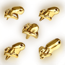 Load image into Gallery viewer, HTV3 Gold Chastity Cage