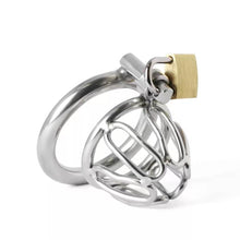 Load image into Gallery viewer, Mini Penis Chastity device