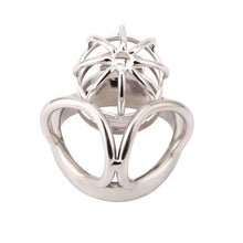 Load image into Gallery viewer, New Balls Chastity Cage With Balls Ring