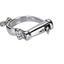 Load image into Gallery viewer, Shiny Horseshoe Like Iron Shackles