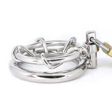 Load image into Gallery viewer, Ultimate Pain Penis Torture Tool