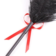 Load image into Gallery viewer, Reward and Punishment Feather Whip