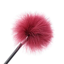 Load image into Gallery viewer, Reward and Punishment Feather Whip