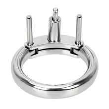 Load image into Gallery viewer, Accessory Ring for Pinned Prince(ss) Metal Cage