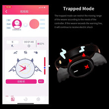 Load image into Gallery viewer, APP Remote Control Devil Collar Adjustable