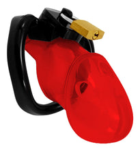 Load image into Gallery viewer, Train Your Man Holy Trainer Chastity Cage