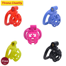 Load image into Gallery viewer, Resin Throne Chastity Cage