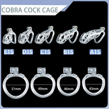 Load image into Gallery viewer, Silver Cobra Chastity Cage Kit 1.77 To 4.13 Inches Long