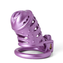 Load image into Gallery viewer, Sissy Purple Spiked 3D Printing Pussy Vaginal