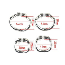 Load image into Gallery viewer, Double Locked Cock Male Chastity Device 2.56 inches long