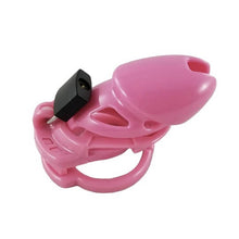 Load image into Gallery viewer, The Vice Chastity Cage I Standard