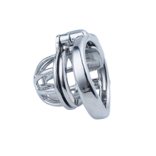 Load image into Gallery viewer, 2 Cages Custom Chastity Cage
