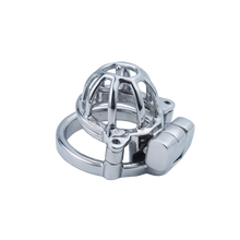 Load image into Gallery viewer, 2 Cages Custom Chastity Cage
