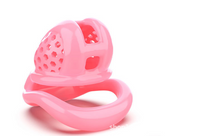 Load image into Gallery viewer, 3D Cock Cage with Small Lock
