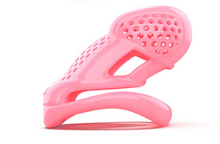 Load image into Gallery viewer, 3D Cock Cage with Small Lock
