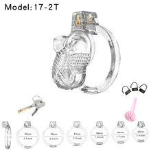 Load image into Gallery viewer, BIG BOOBS Male Chastity Cage
