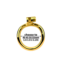 Load image into Gallery viewer, Sunflower Chastity Cage's Ring
