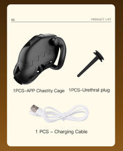 Load image into Gallery viewer, Lockink App Chastity Cage Remotely - product list
