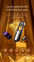 Load image into Gallery viewer, Lockink Electric Eel Estim Play Chastity Cage -25
