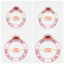 Load image into Gallery viewer, Beast Dragon Open-Tip ABS Resin Chastity Cage
