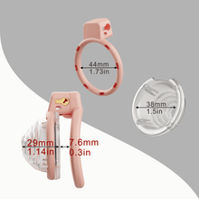 Load image into Gallery viewer, Detachable Conch ABS Chastity Cage
