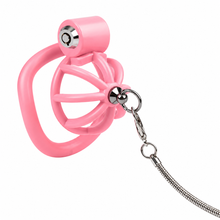 Load image into Gallery viewer, Dog Paw Low-Profile ABS Chastity Cage
