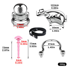 Load image into Gallery viewer, Dolphin Steel Chastity Cage with Anti-ring Removable - size
