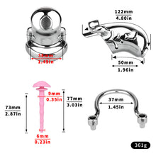 Load image into Gallery viewer, Dolphin Steel Chastity Cage with Anti-ring Removable - size
