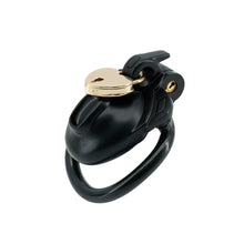 Load image into Gallery viewer, Double Lock Lightweight Chastity Cage 9
