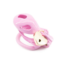 Load image into Gallery viewer, Double Lock Lightweight Chastity Cage 6
