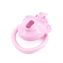 Load image into Gallery viewer, Double Lock Lightweight Chastity Cage 3
