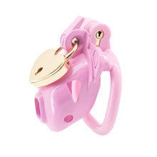Load image into Gallery viewer, Double Lock Lightweight Chastity Cage 4
