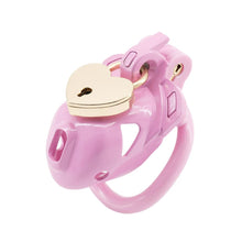 Load image into Gallery viewer, Double Lock Lightweight Chastity Cage 5
