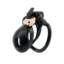 Load image into Gallery viewer, Double Lock Lightweight Chastity Cage 13

