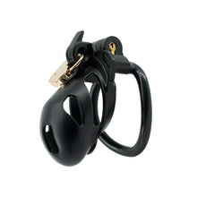 Load image into Gallery viewer, Double Lock Lightweight Chastity Cage 12
