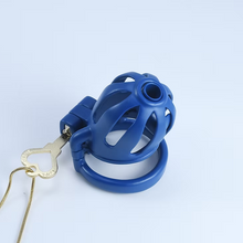Load image into Gallery viewer, Dragon's Lock – Custom Steel Chastity Prison
