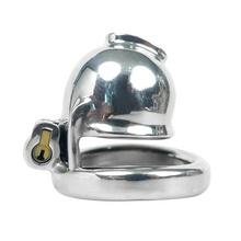 Load image into Gallery viewer, Custom Seal Chastity Cage
