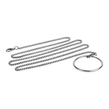 Lade das Bild in den Galerie-Viewer, Flat Stainless Steel Chastity Cage with Detachable Chain
